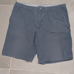 Banana Republic Blue Flat Front Shorts